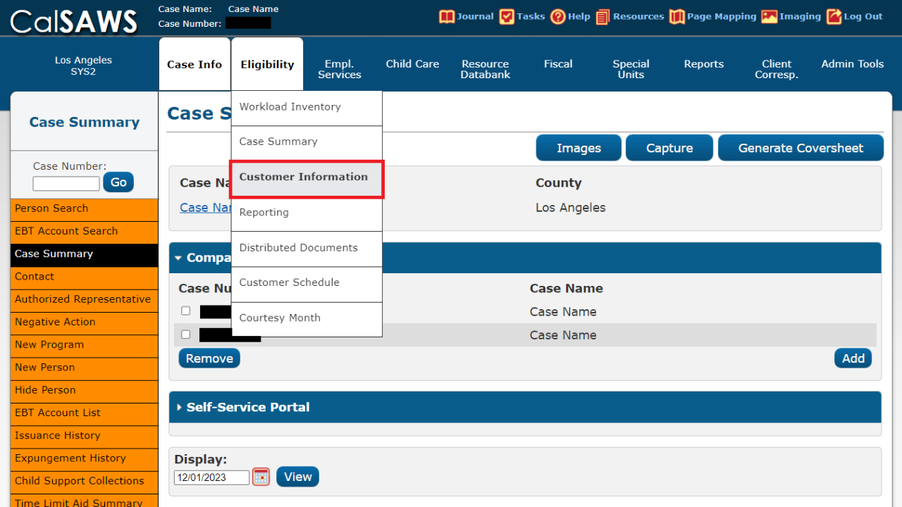 CalSAWS page indicating Customer Information tab